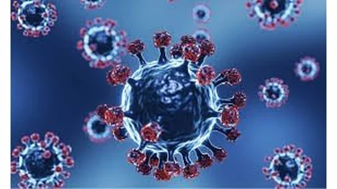 Informacja w zakresie działań edukacyjnych na rzecz zapobiegania zakażeniom RSV wśród mieszkańców powyżej 60 roku życia