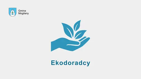 grafika eko
