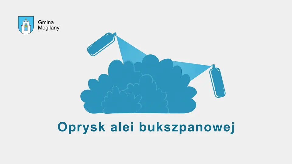 krzak