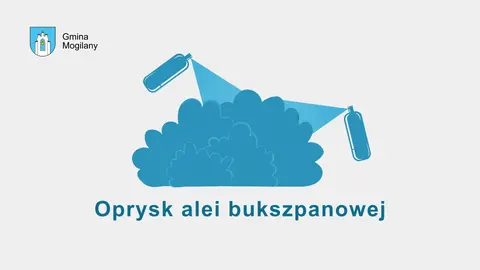 krzak