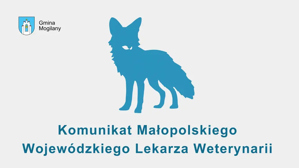 grafika