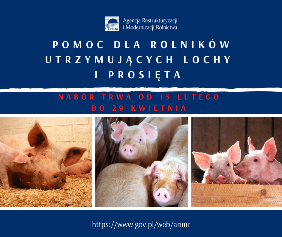 Plakat informacyjny