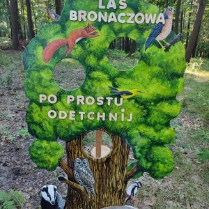 las bronaczowa