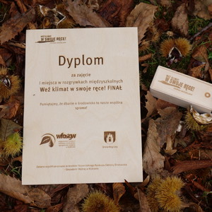 dyplom