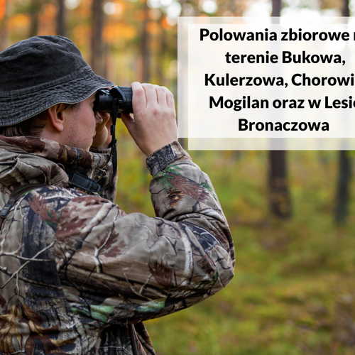Obraz główny aktualności o tytule Ankieta dotycząca występowania chomika europejskiego na terenie Gminy Mogilany