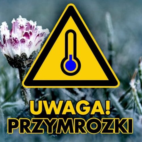 Obraz główny aktualności o tytule OSTRZEŻENIE METEO - PRZYMROZKI 09.05.2025 R.