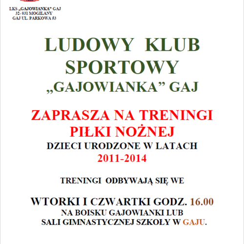 Obraz główny aktualności o tytule LKS Gajowianka zaprasza na treningi piłki nożnej. 