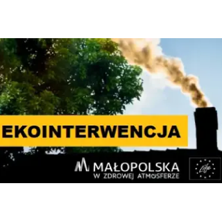 Ekointerwencja