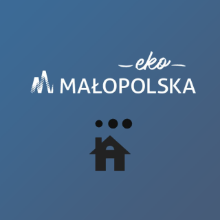 Ekointerwencja